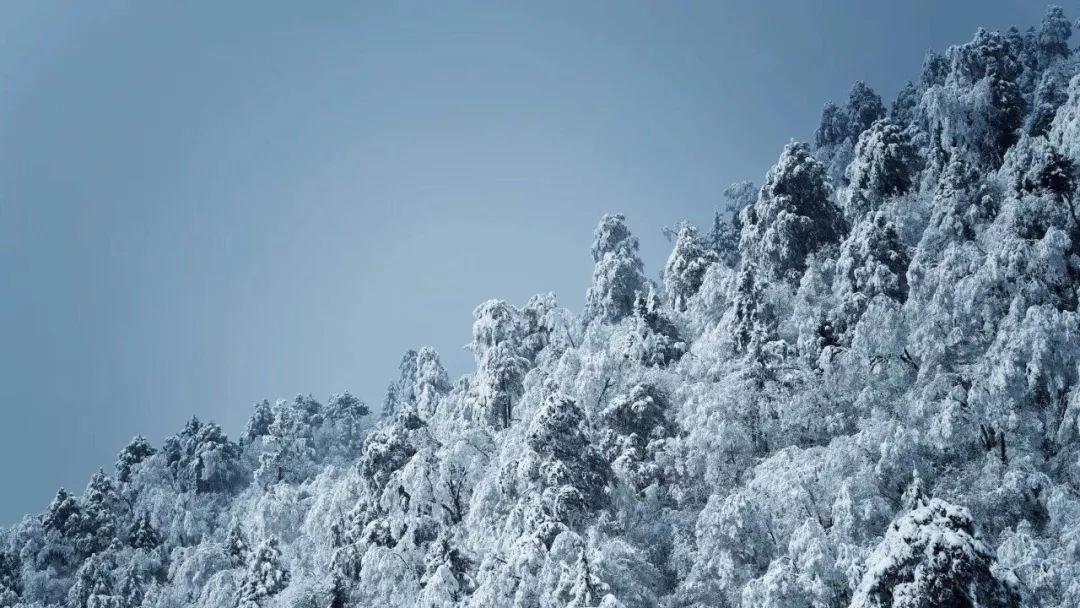 意想不到的旅程