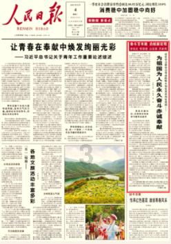 救援小犬立苏
