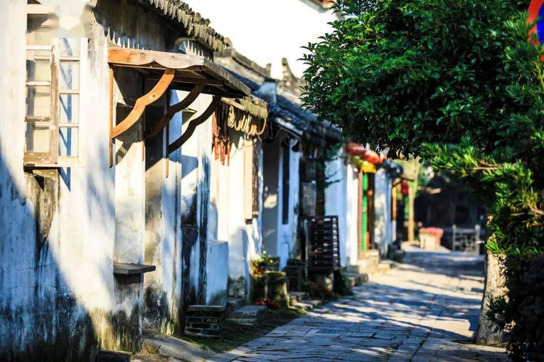 青你2“人气排行”，蔡卓宜第五，许佳琪第二，看到榜首：出乎意料