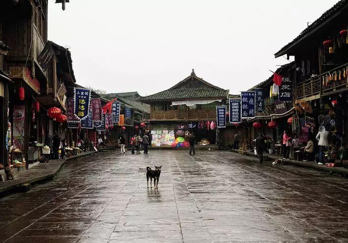 一个出身优越的白富美，本可以过着名媛生活，为何走上了卖国路